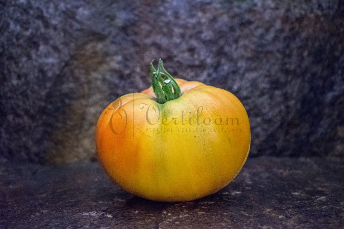 Tomato Brandywine Yellow Heirloom - Seed Kingdom