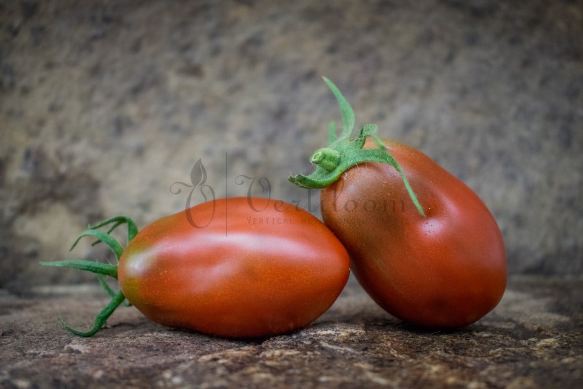 Star tomato - Vertiloom