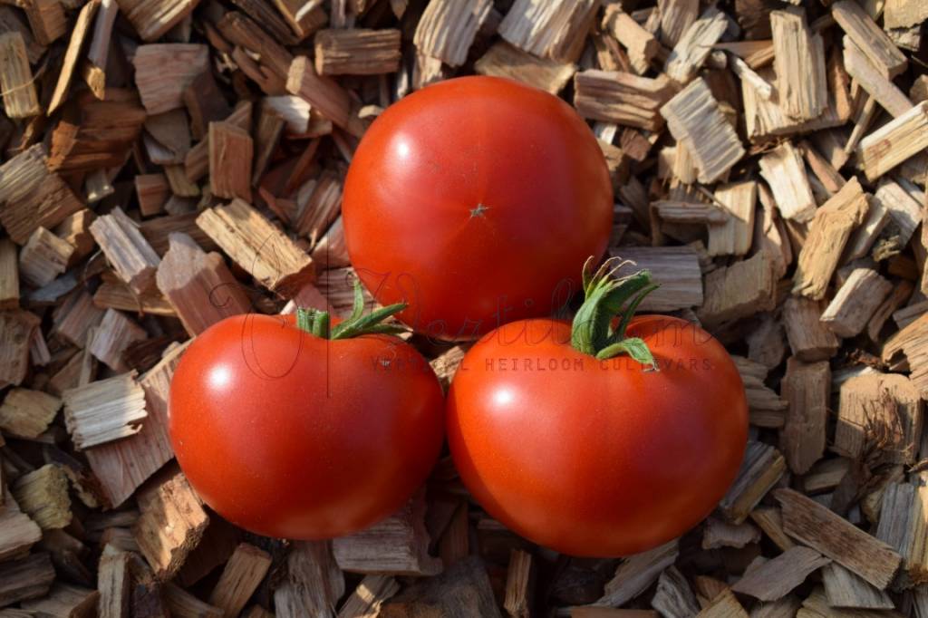 Potager de Vilvorde