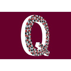 Cristallo Design Stoer, Letter Q