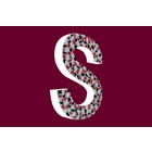 Cristallo Design Stoer, Letter S