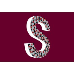 Cristallo Design Stoer, Letter S