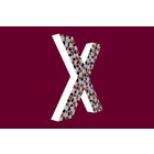 Cristallo Design Stoer, Letter X