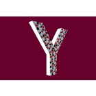 Cristallo Design Stoer, Letter Y