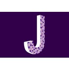 Cristallo Design Zacht, Letter J