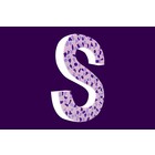 Cristallo Design Zacht, Letter S