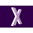 Cristallo Design Zacht, Letter X