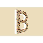 Cristallo Design Warm, Letter B