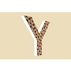 Cristallo Design Warm, Letter Y