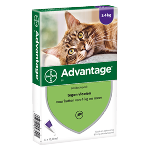 Bayer Advantage kat 80 - 4 pip Bayer Advantage kat 80 - 4 pip