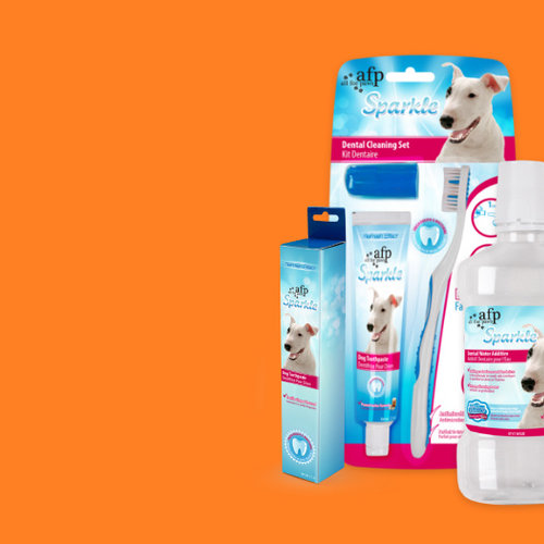 Alle verzorging die je hond nodig heeft