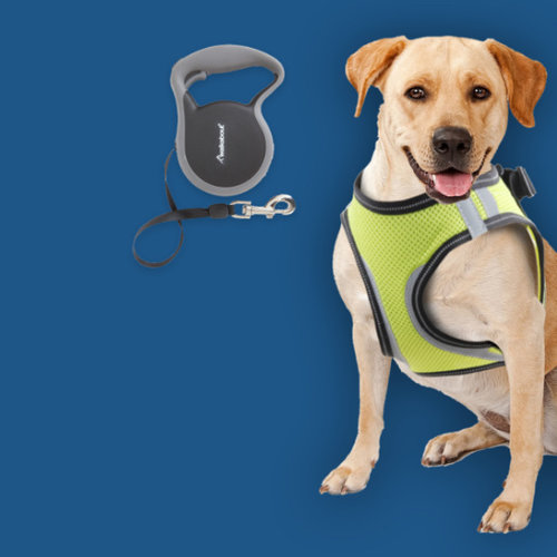 Accessoires voor je hond