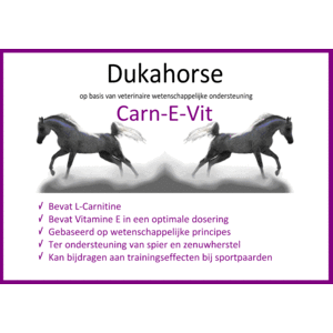 CarnEvit Dukahorse