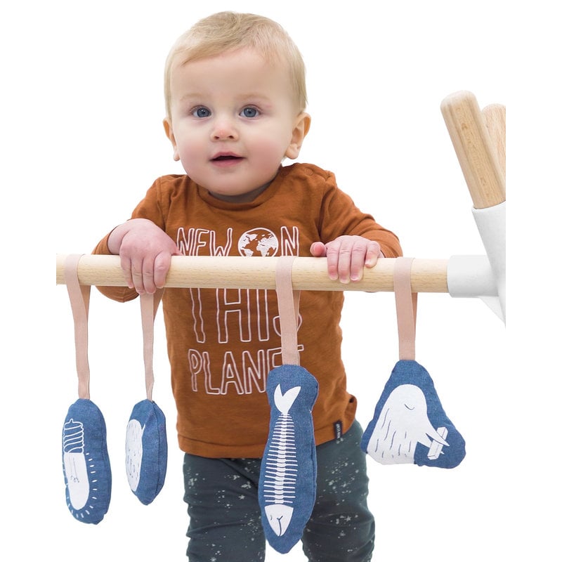 Hangloose Baby PlayGym