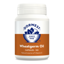 Tarwekiemolie - Wheatgerm Oil