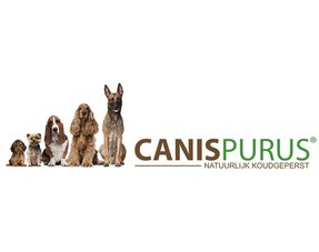 Canis Purus