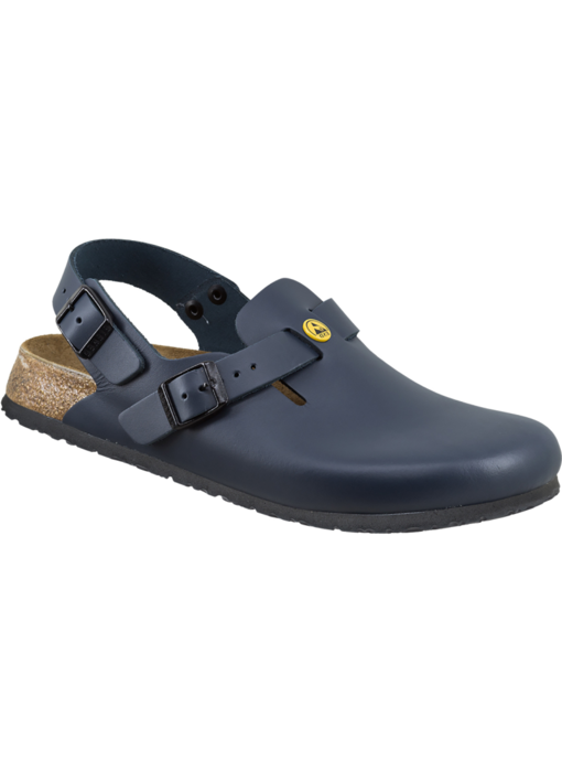 Birkenstock Heren Sandaal Tokio ESD 54277 Blauw