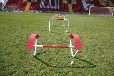 Jeu de haies auto-redressant 5 pièces de 40 cm