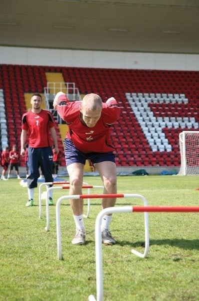 Jeu de haies auto-redressant 5 pièces de 40 cm