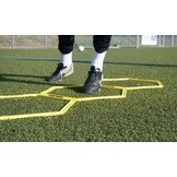 Coördinatieladder (zeshoekig) - met 10 velden