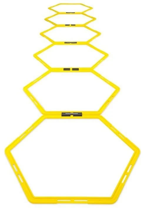 Coördinatieladder (zeshoekig) - met 10 velden