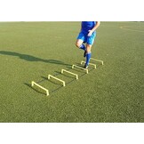 sport vertical boucle échelle de 4 m