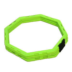 Coördinatieladder (achthoekig) - met 6 velden