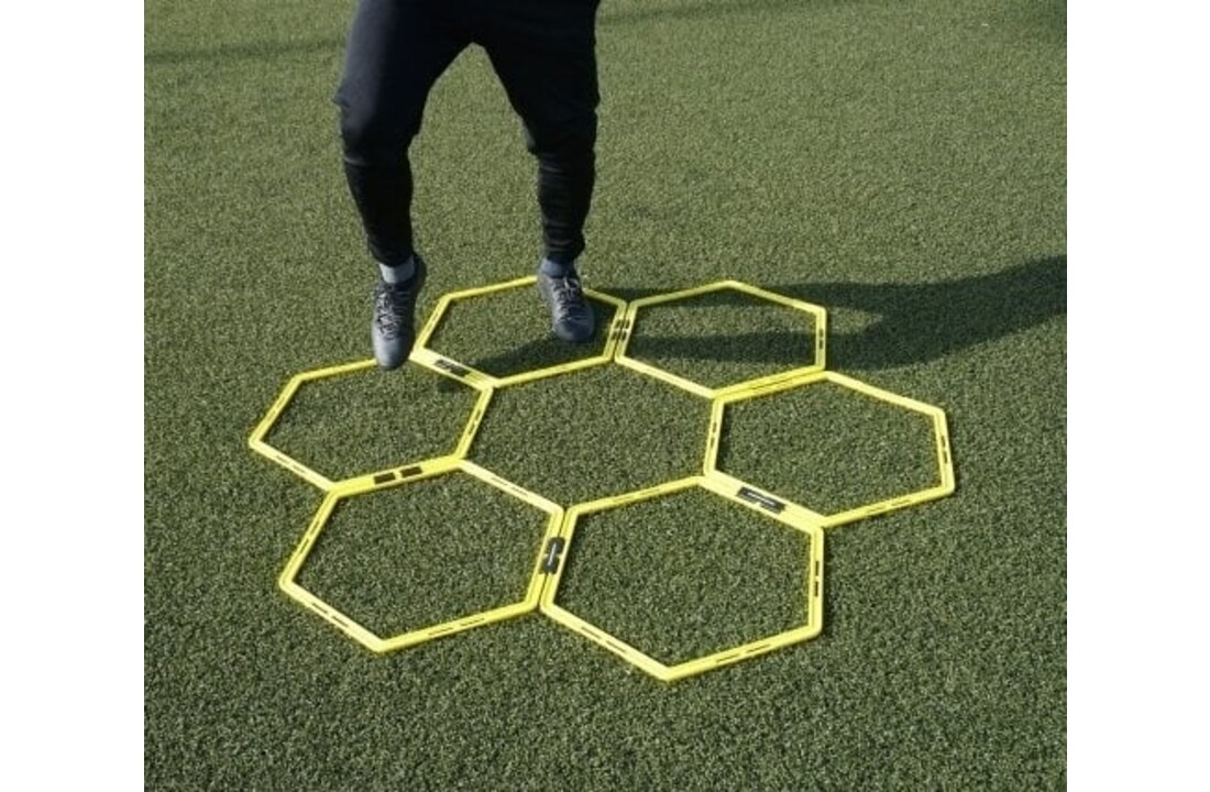 Échelle de coordination (octogonale) - avec 12 champs