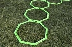 Échelle de coordination (octogonale) - avec 6 champs