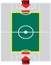 Terrain de jeu flexible marquant l'herbe côtière à 100 mètres