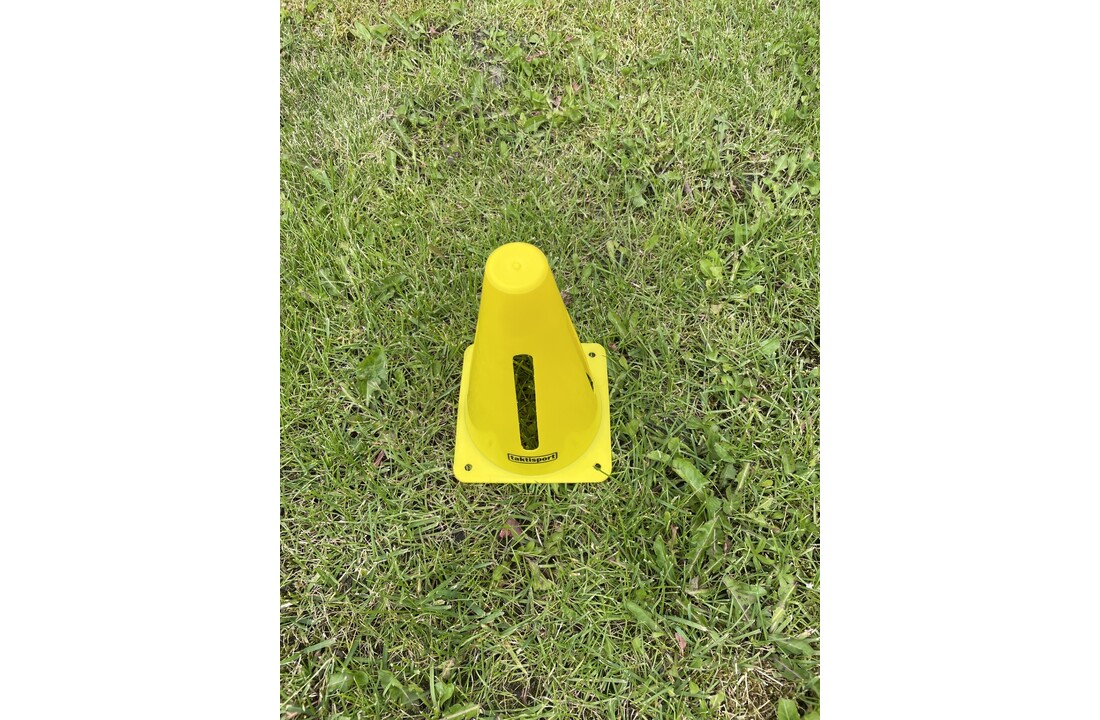 Pion met uitsparingen: 10 stuks