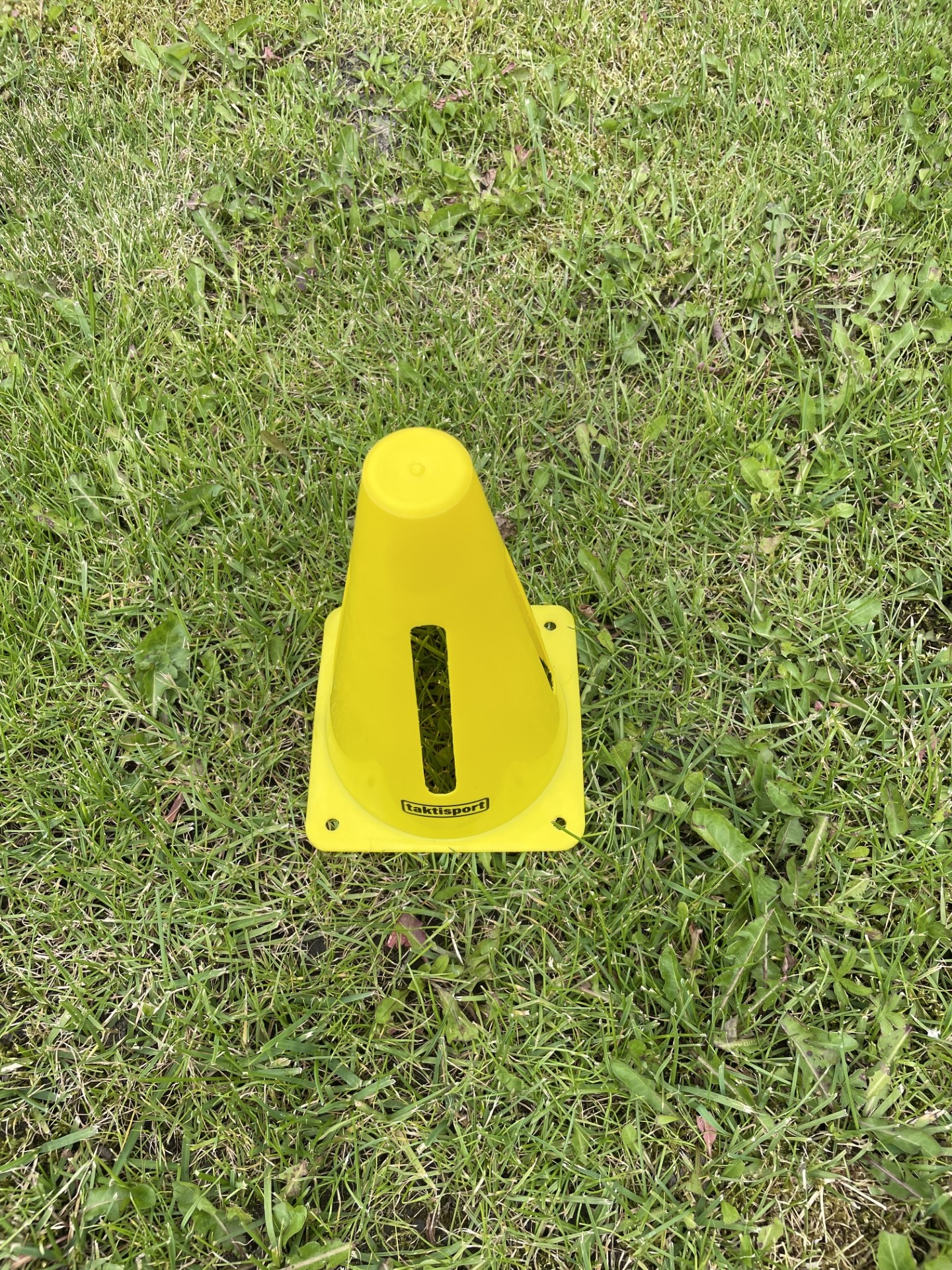 Pion 23cm Geel met uitsparingen : set van 10 stuks