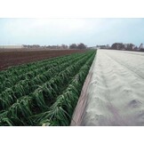 Gras Groei Cover Doek 200m2