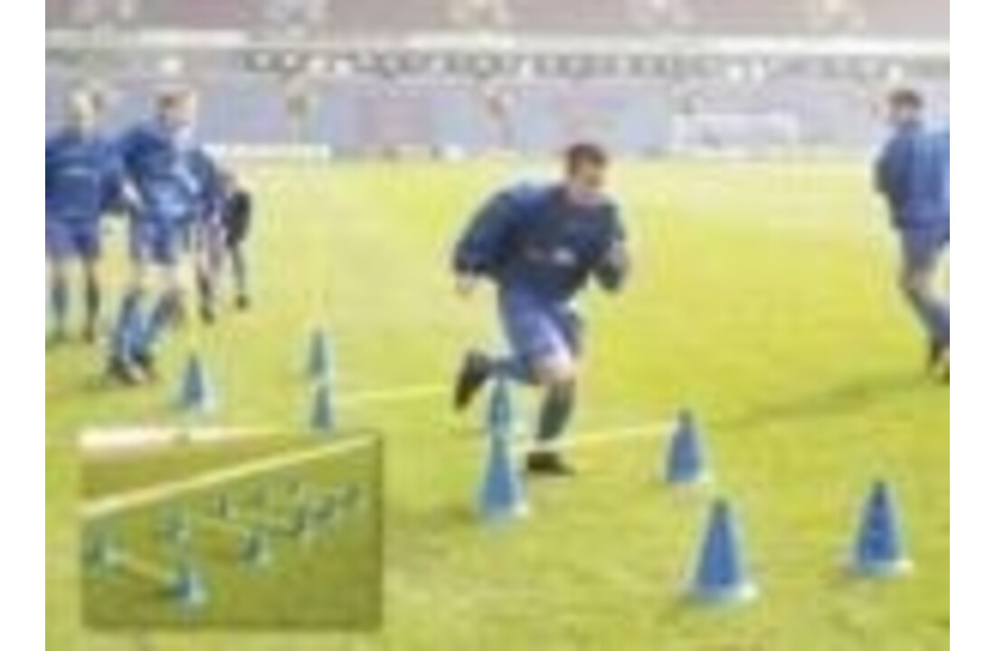 Agility Set 5 stokken en 10 pionnen