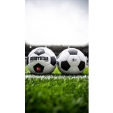 Ballon de match Derbystar APS Classic Bundesliga