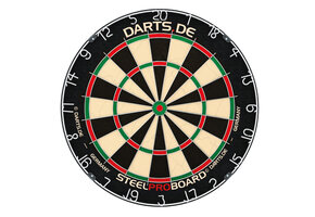 Dart bord met 12 darts