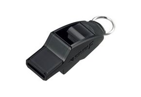 L'arbitre siffle Dolfin F.