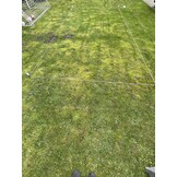 Terrains de football délimitant 150 m