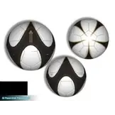 Trainingsbal Pro Trainer