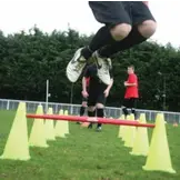 Agility Set  5 stokken en 10 pionnen