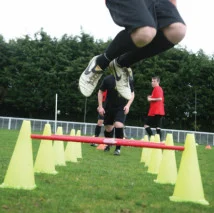 Agility Set  5 stokken en 10 pionnen