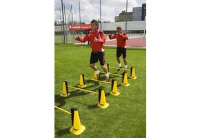 Trainingshorde-set (2 pionnen, stang en opzetstukken)