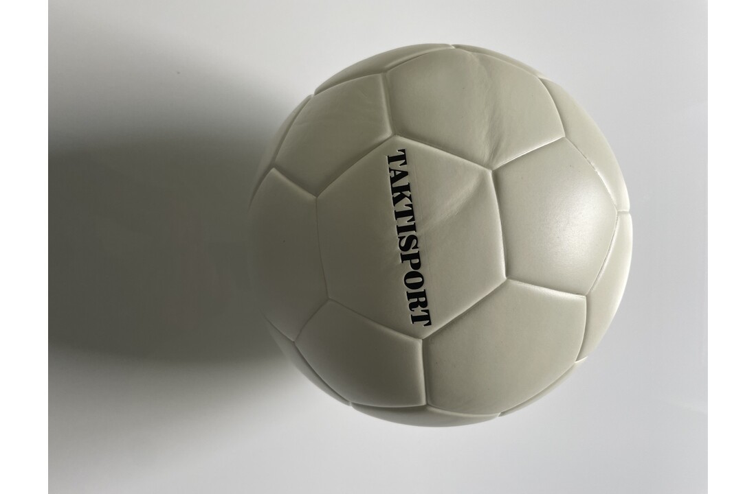Ballon d'entraînement blanc taille 5