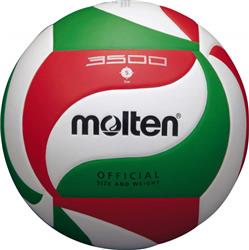 Ballon de match de volley-ball