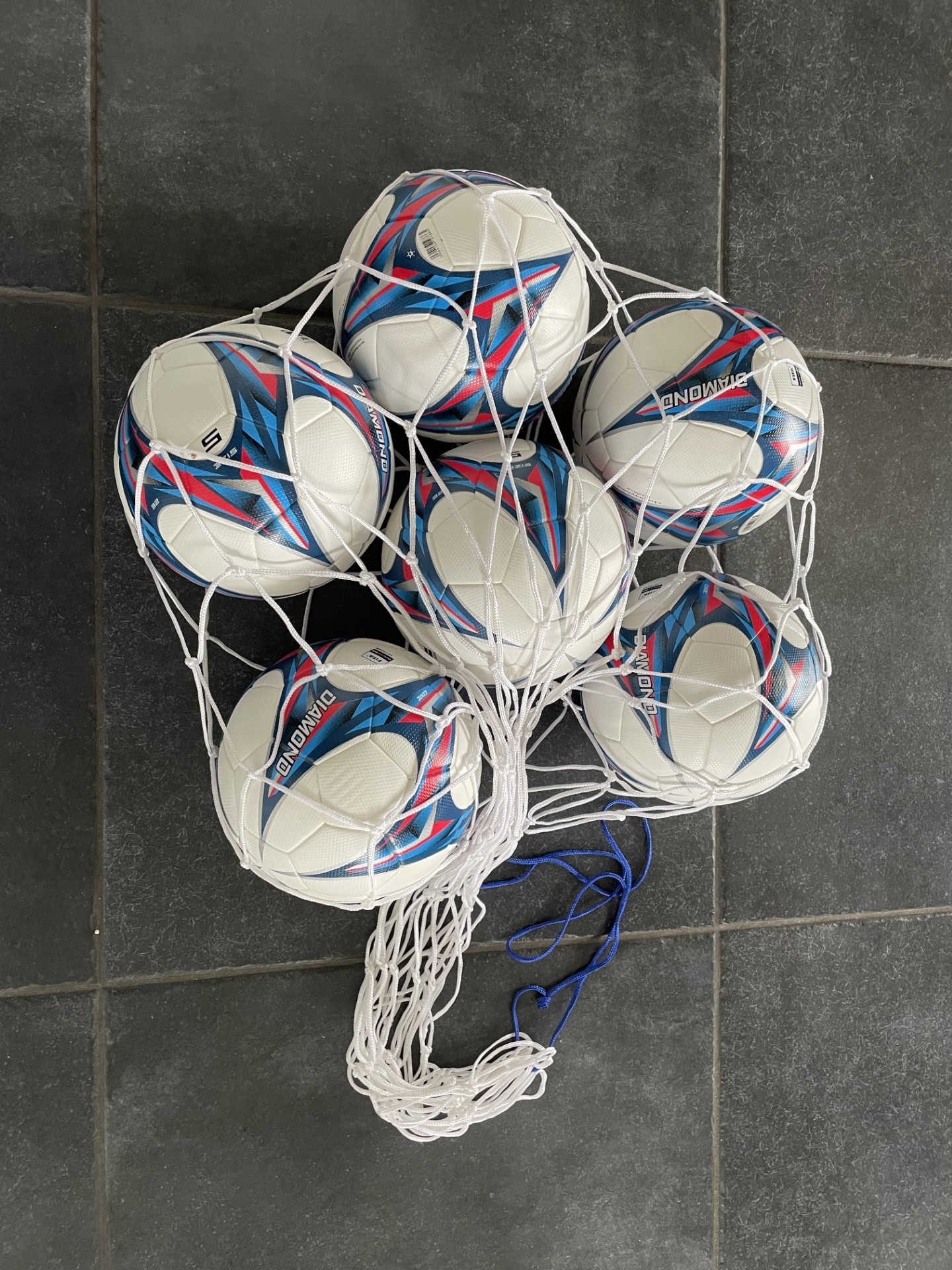 Ballennet luxe Wit voor 10-12 ballen