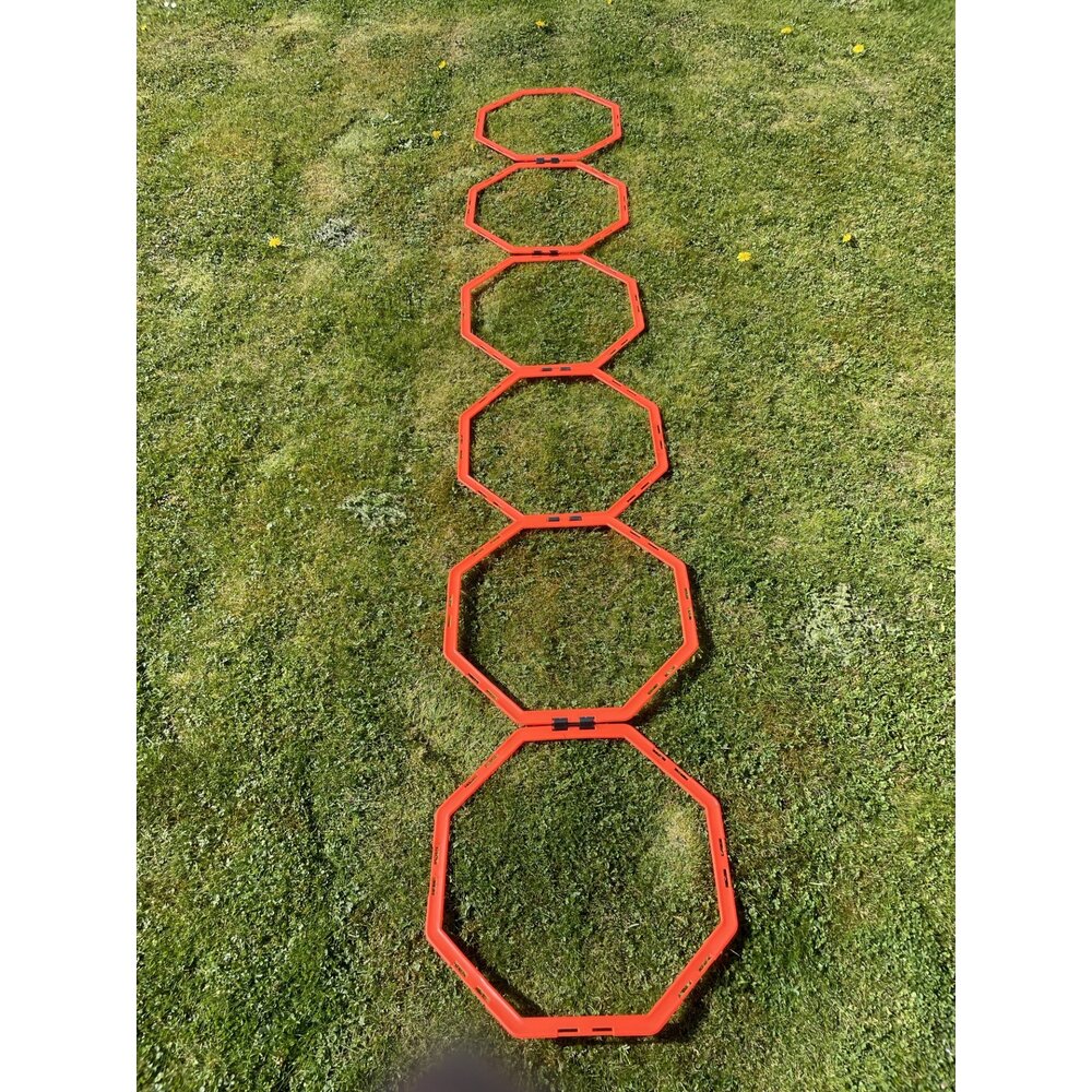 Imperatoris - Voetbaldoel Met 4 U-vormige Grondharingen En Draagtas Opvouwbaar Voetbaldoelen Voor Kinderen Voetbal Goal Voetbaldoeltjes Voetbal Training Buitenspeelgoed Trainingsmateriaal 120 X 90 X 90 Cm Blauw