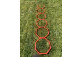 Échelle de coordination (octogonale) - avec 6 champs