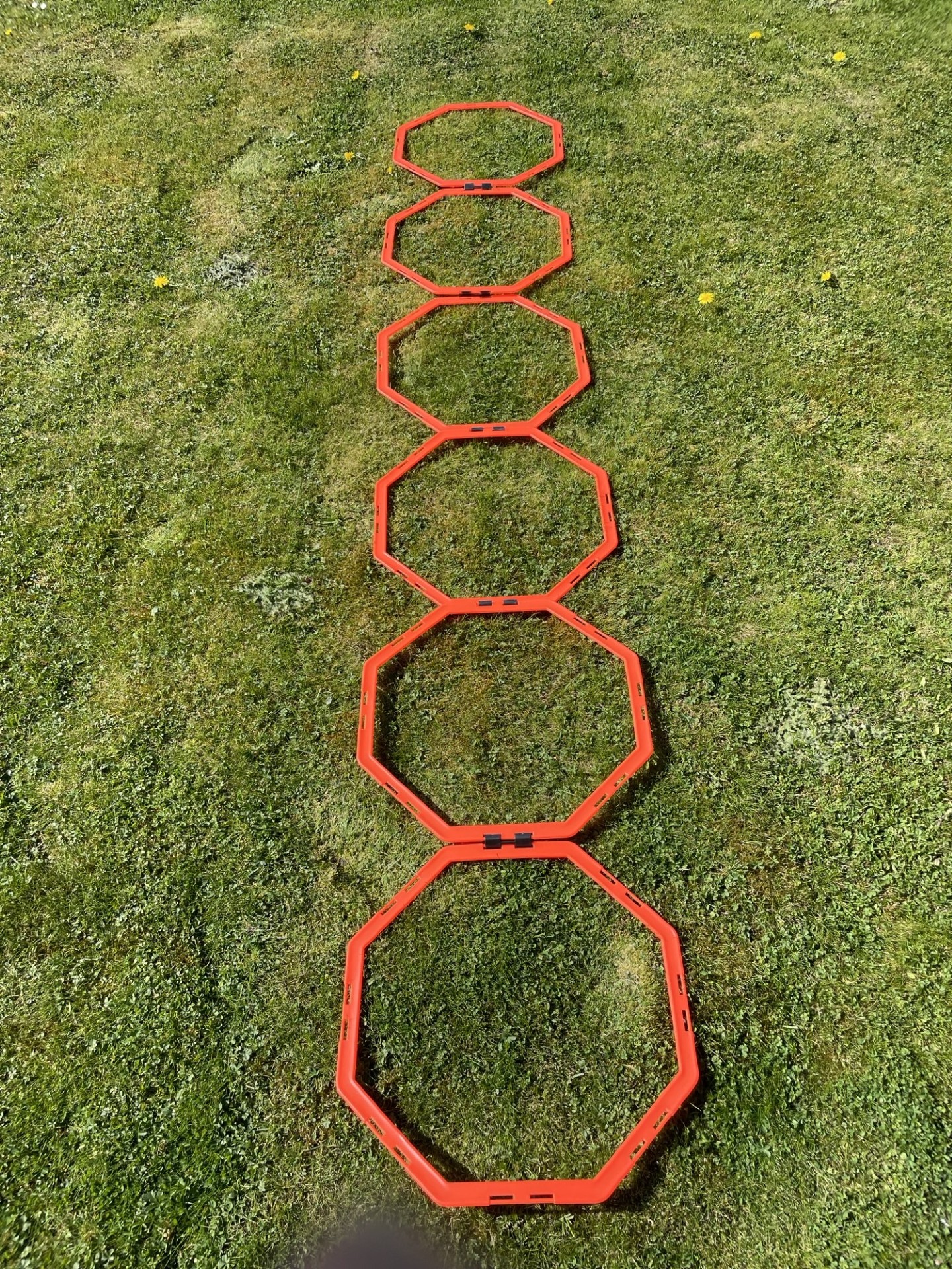 Échelle de coordination (octogonale) - avec 6 champs