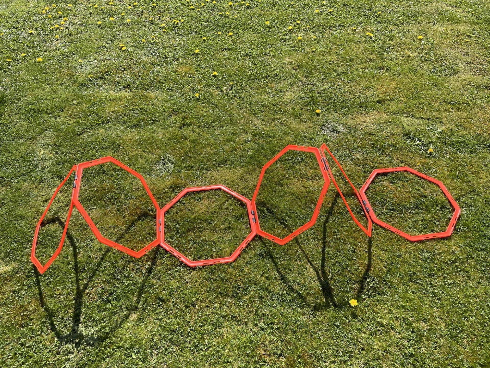 Échelle de coordination (octogonale) - avec 6 champs