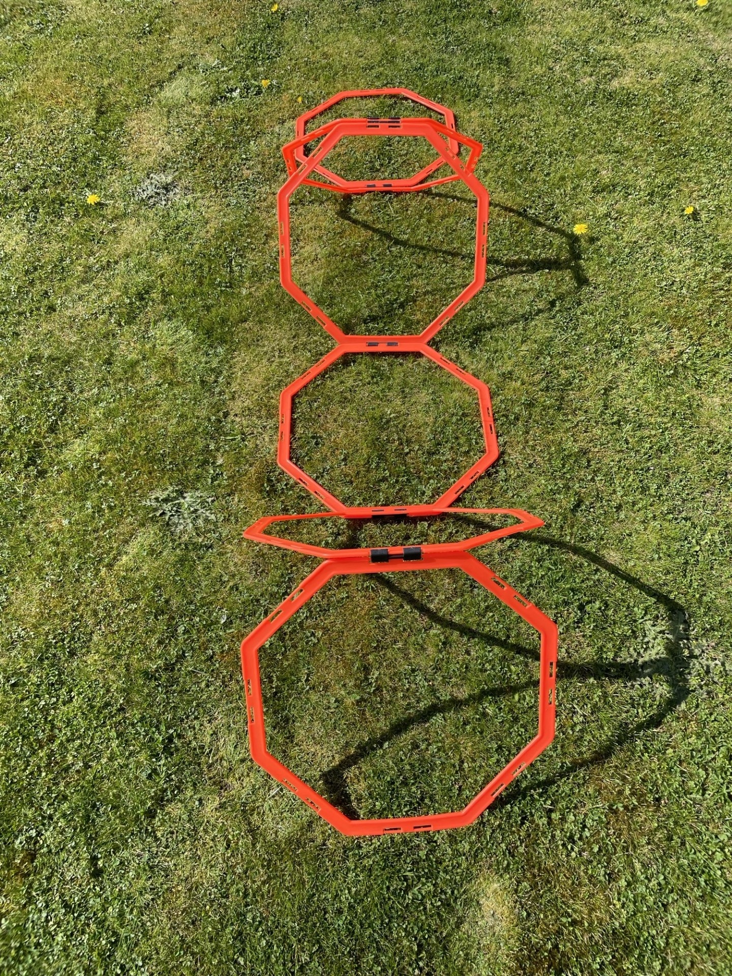 Échelle de coordination (octogonale) - avec 6 champs